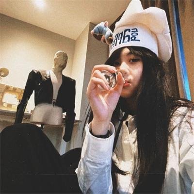 木材宝藏狗
